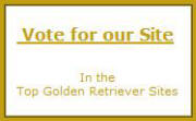 Click here to vote for this site!
