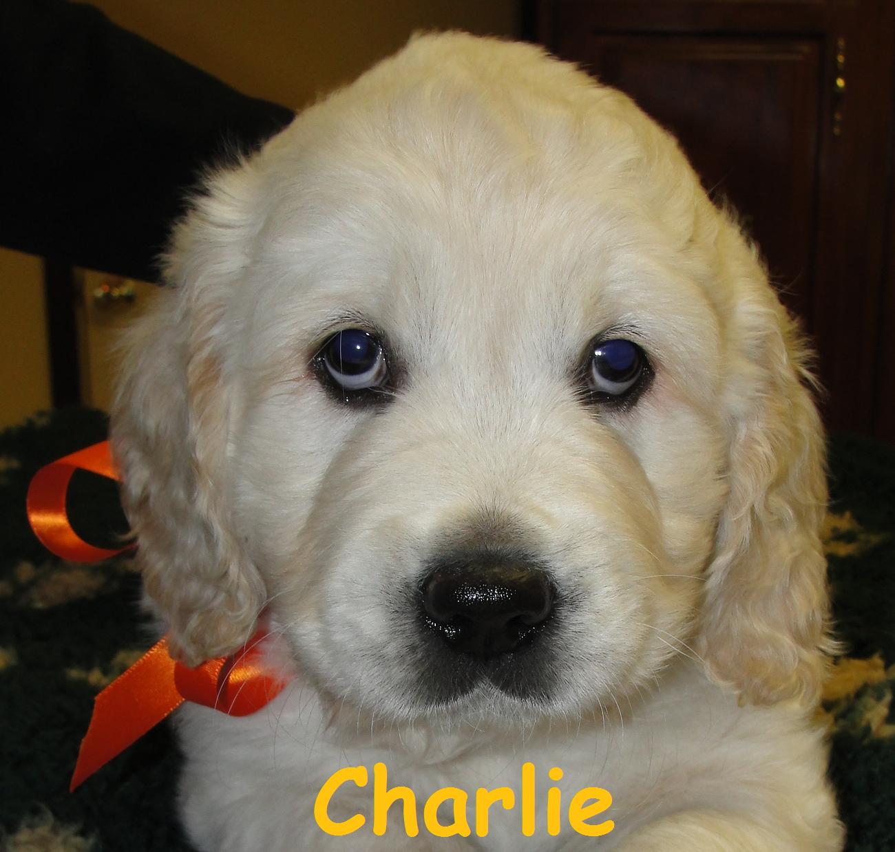 Charlie