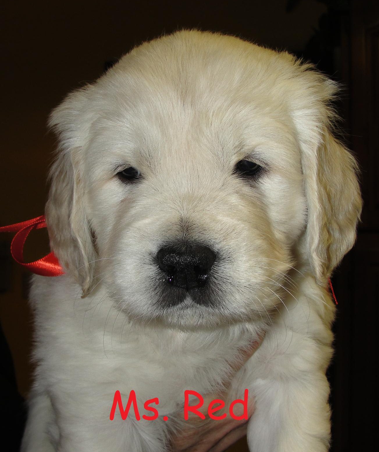Ms. Red