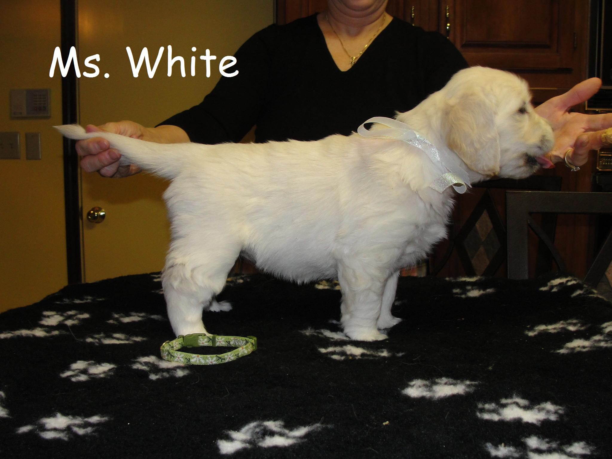 Ms. White