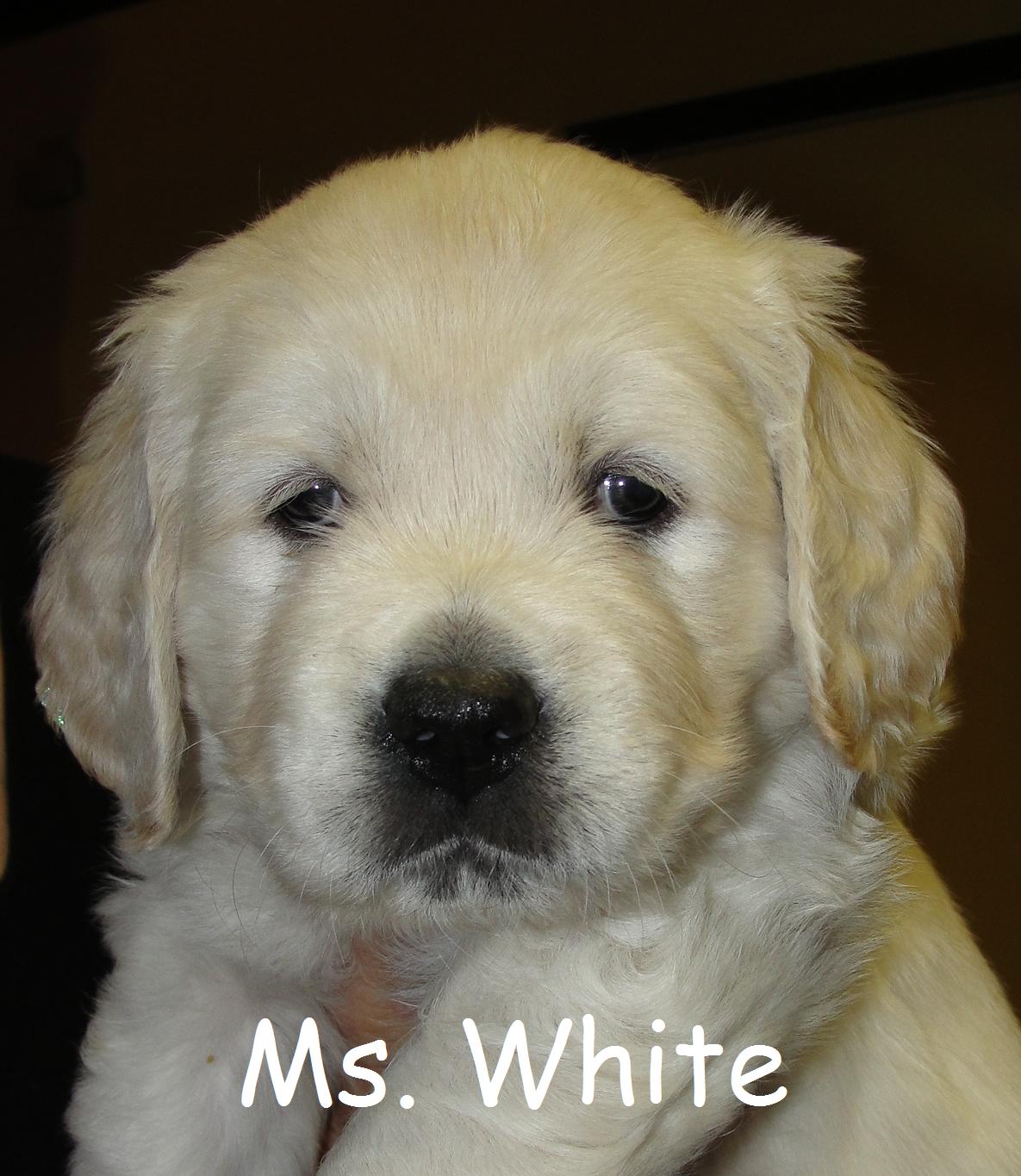 Ms. White